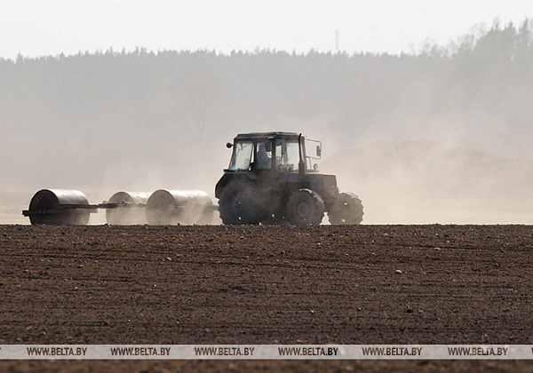 Early spring crops planted on nearly 23% of designated area in Belarus