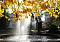 Залатая восень у гомельскім парку