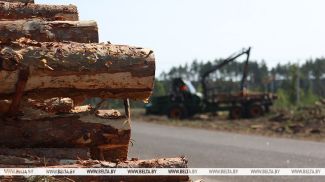 Лукашэнка: Гомельскую вобласць трэба прыводзіць у парадак