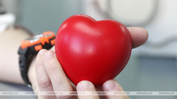 Акции по профилактике болезней сердца проведут в Гомеле