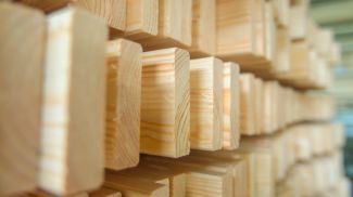 В Минлесхозе пояснили новый порядок реализации деловой древесины