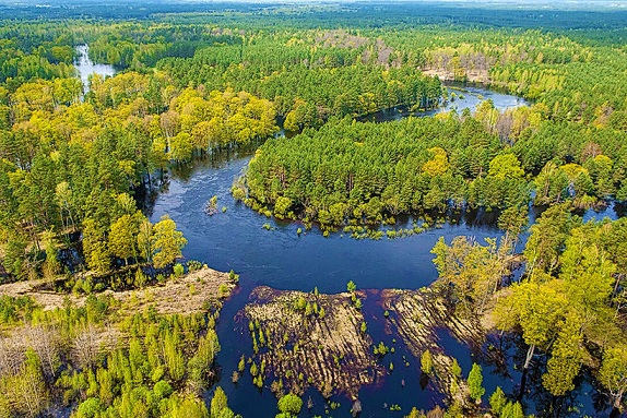 Прыродаахоўныя тэрыторыі займаюць больш за 20 працэнтаў плошчы Беларусі