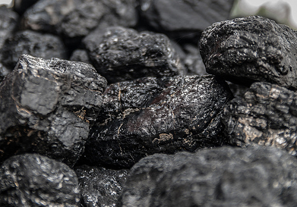 "Белоруснефть" планирует построить участок по производству древесного угля