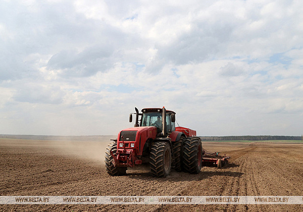 В Минсельхозпроде рассказали, когда в Беларуси завершатся весенние полевые работы